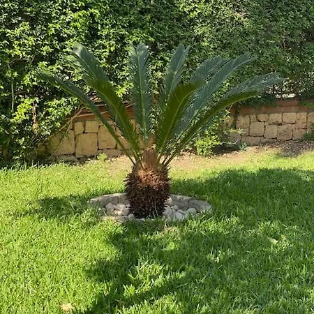 ヴィラ Palm